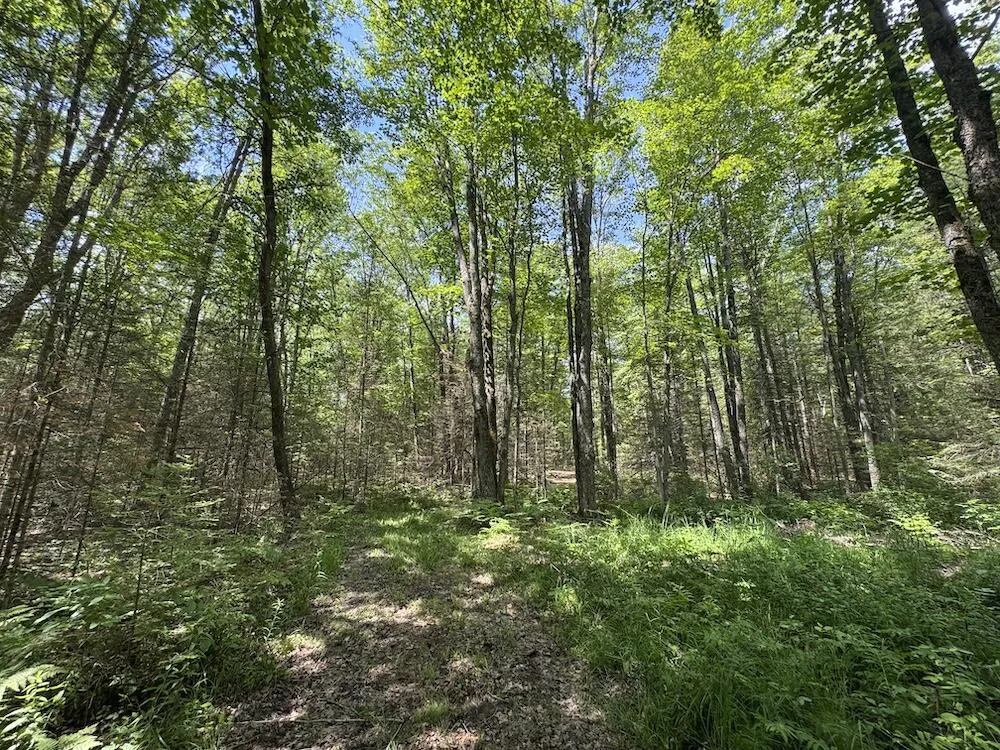 S Loxley Road Houghton Lake, MI 48629