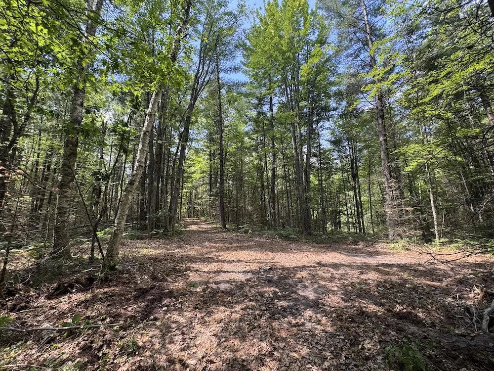 S Loxley Road Houghton Lake, MI 48629