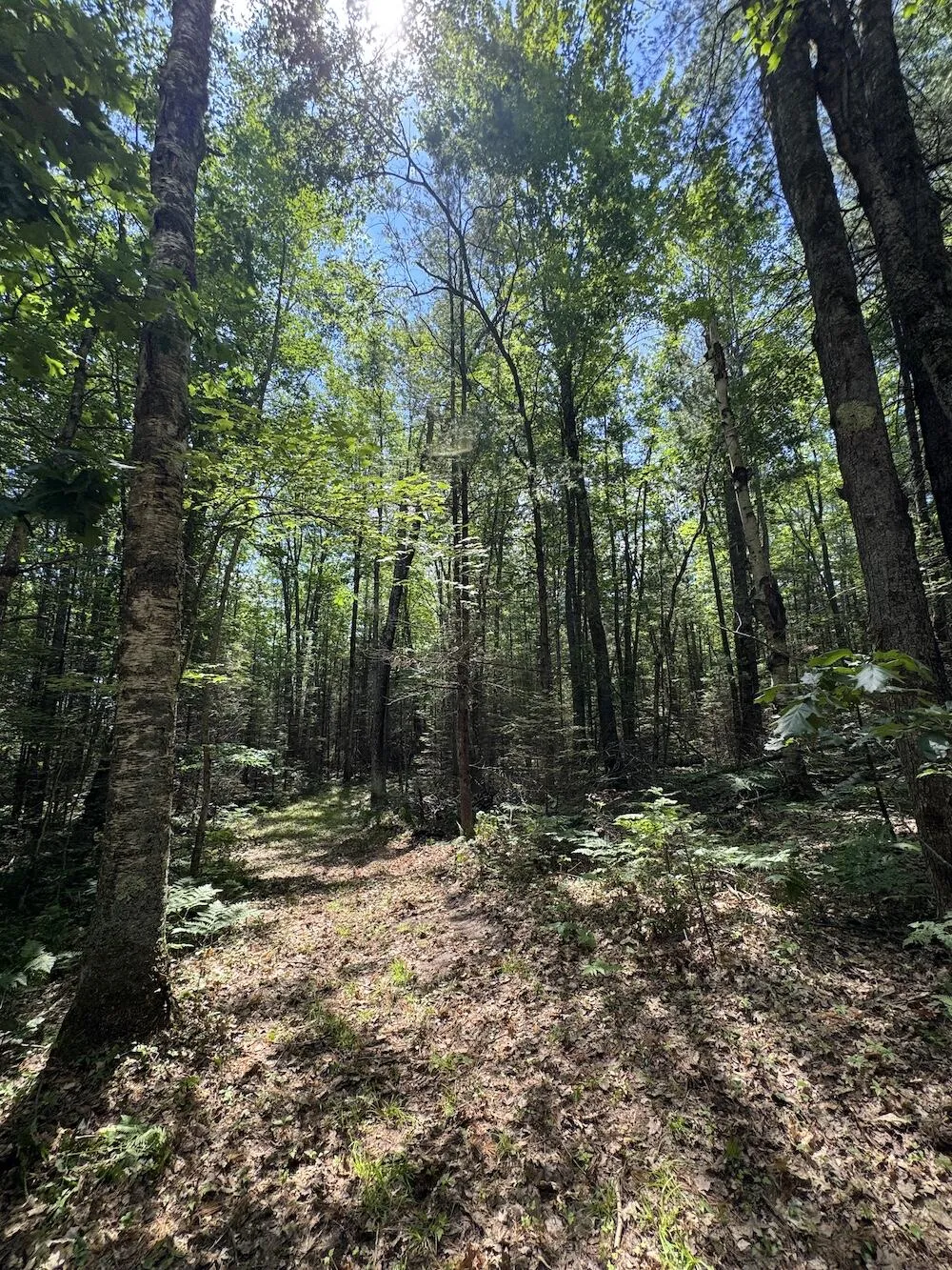 S Loxley Road Houghton Lake, MI 48629
