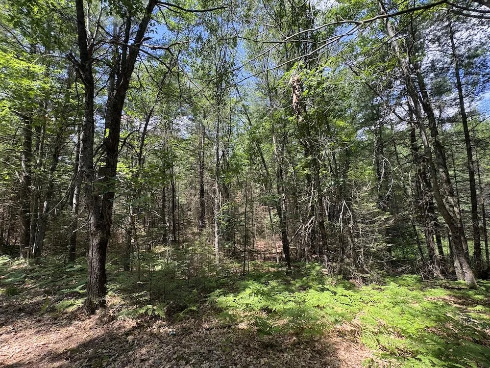 S Loxley Road Houghton Lake, MI 48629