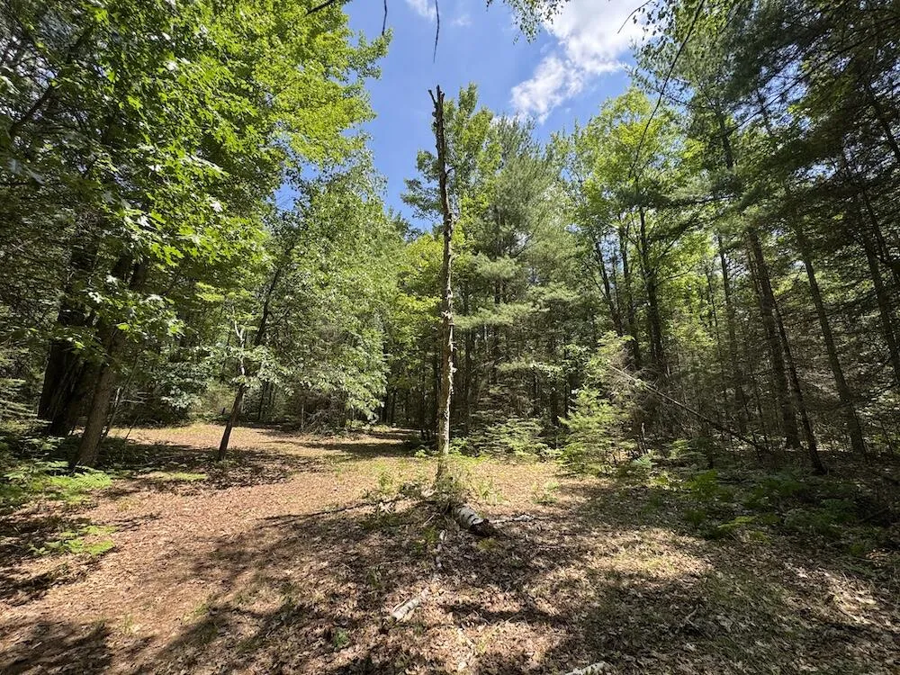 S Loxley Road Houghton Lake, MI 48629