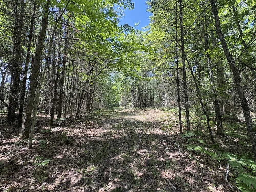 S Loxley Road Houghton Lake, MI 48629
