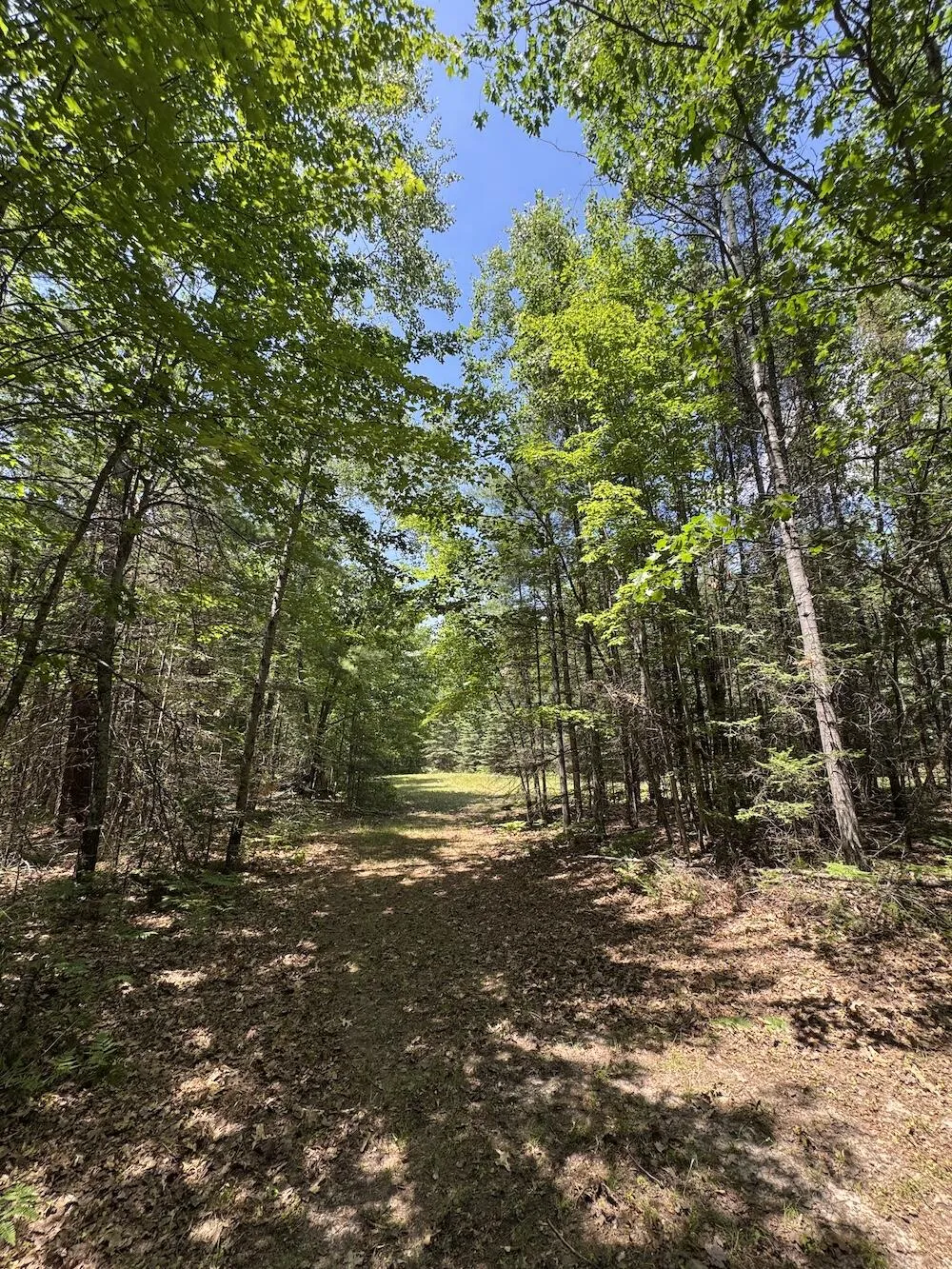 S Loxley Road Houghton Lake, MI 48629