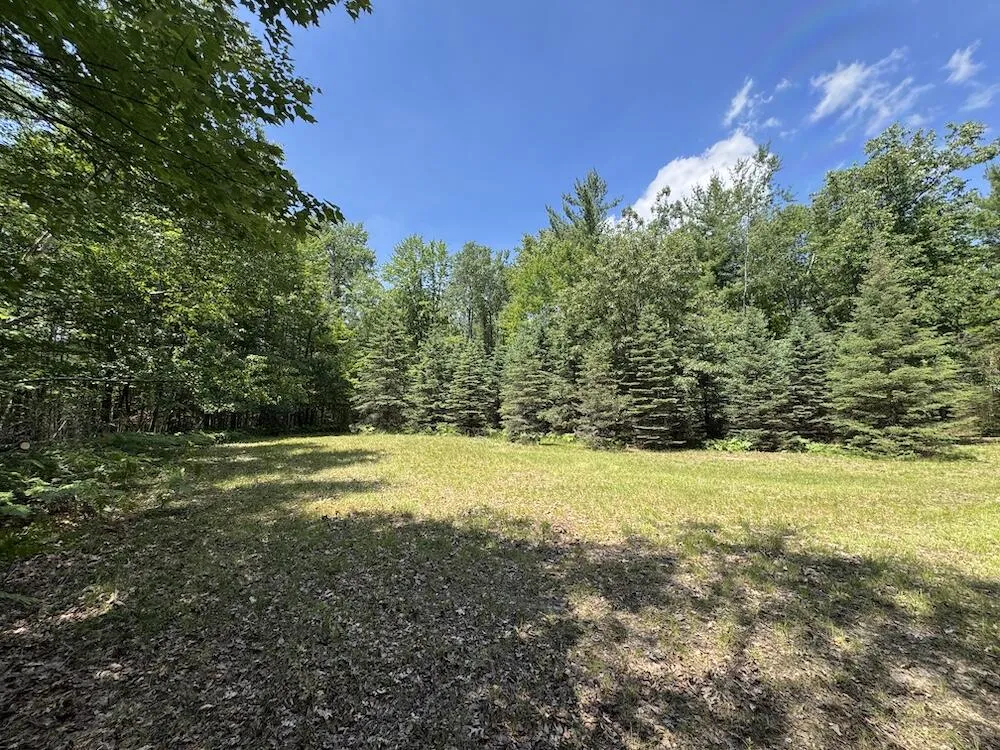S Loxley Road Houghton Lake, MI 48629