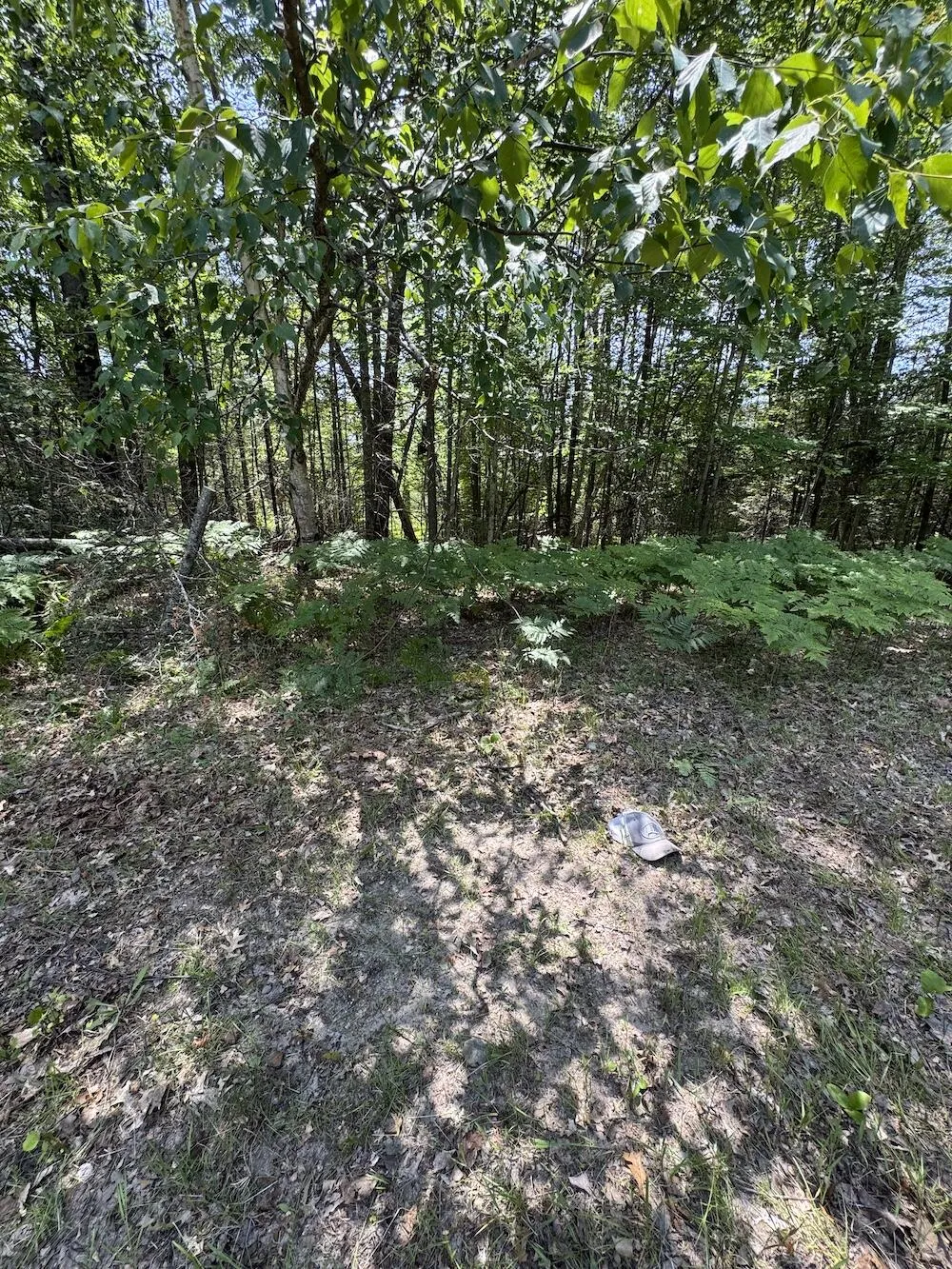 S Loxley Road Houghton Lake, MI 48629