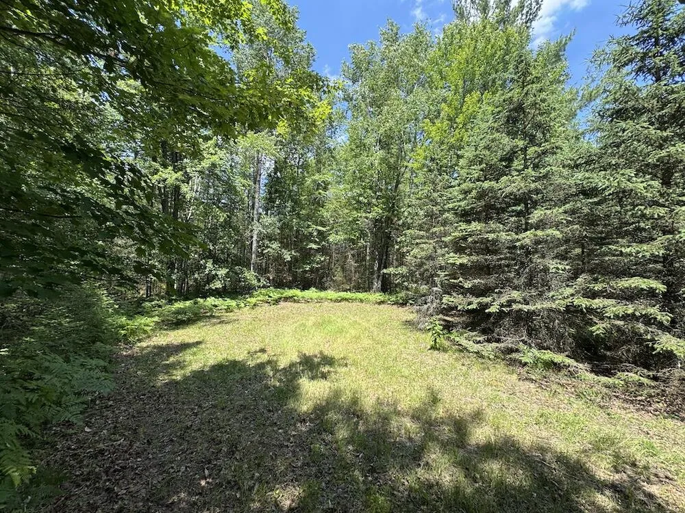 S Loxley Road Houghton Lake, MI 48629