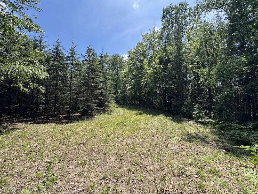 S Loxley Road Houghton Lake, MI 48629