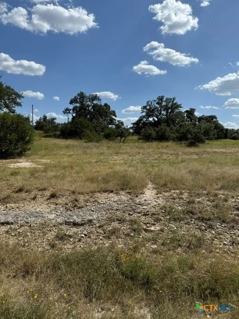 137 W Pat Dolan Blanco, TX 78606