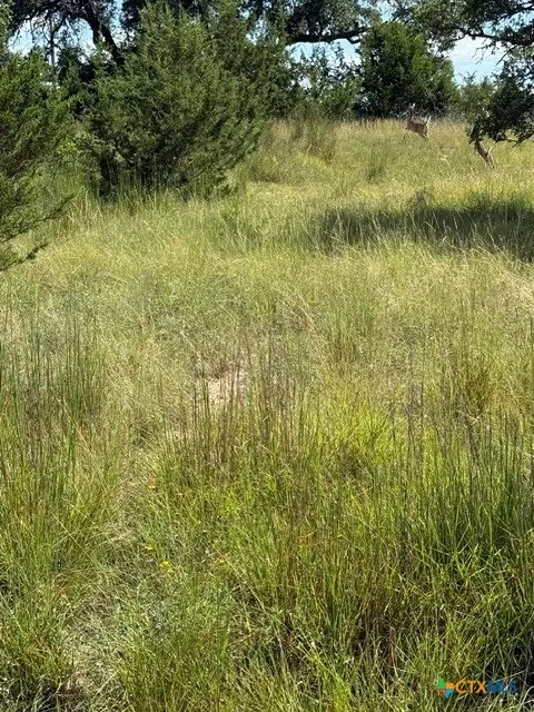 137 W Pat Dolan Blanco, TX 78606