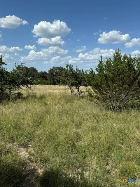 137 W Pat Dolan Blanco, TX 78606
