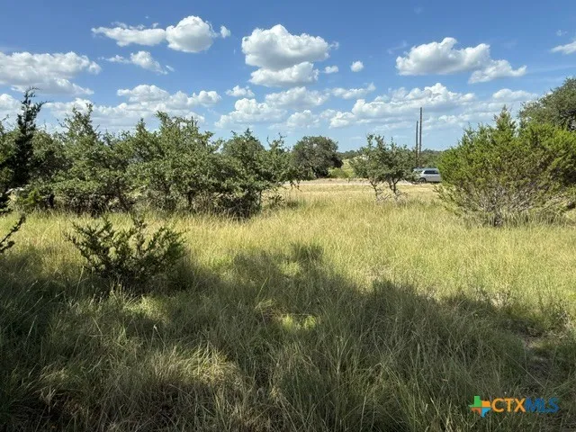 137 W Pat Dolan Blanco, TX 78606