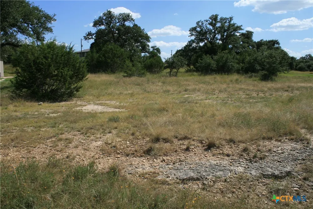 137 W Pat Dolan Blanco, TX 78606