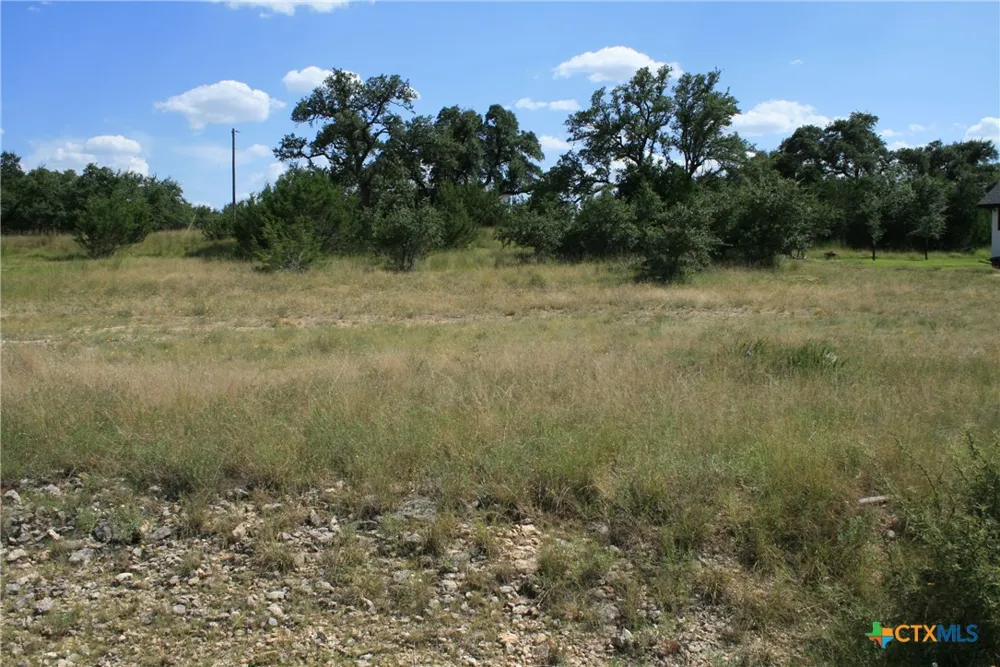 137 W Pat Dolan Blanco, TX 78606