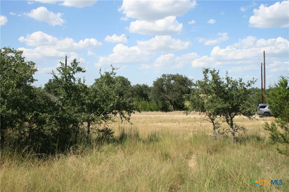 137 W Pat Dolan Blanco, TX 78606
