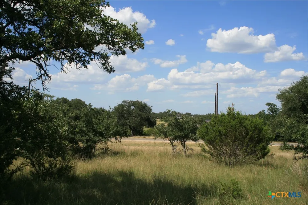 137 W Pat Dolan Blanco, TX 78606