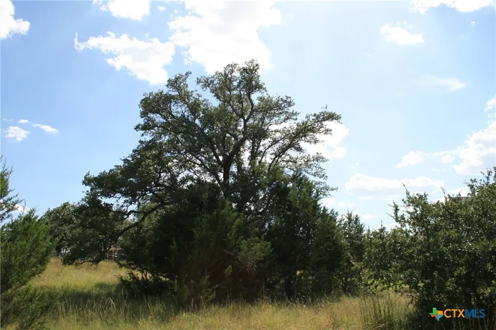 137 W Pat Dolan Blanco, TX 78606