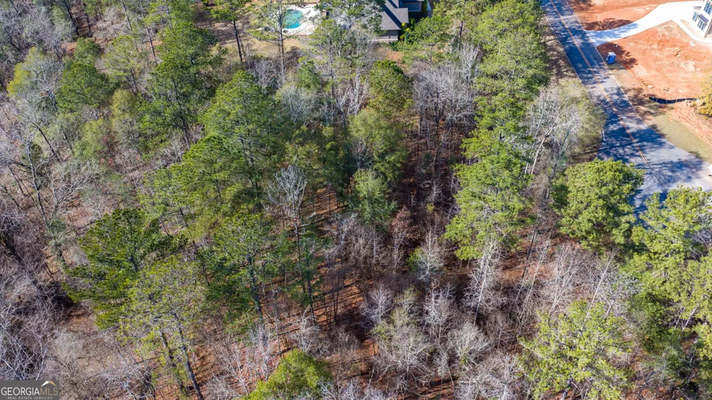 103 Ranch CT Forsyth, GA 31029