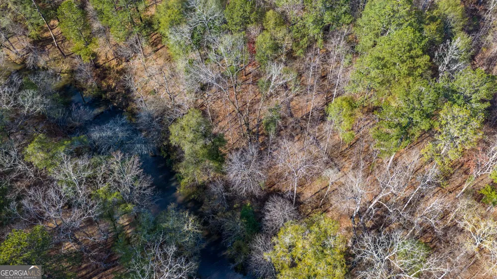 103 Ranch CT Forsyth, GA 31029