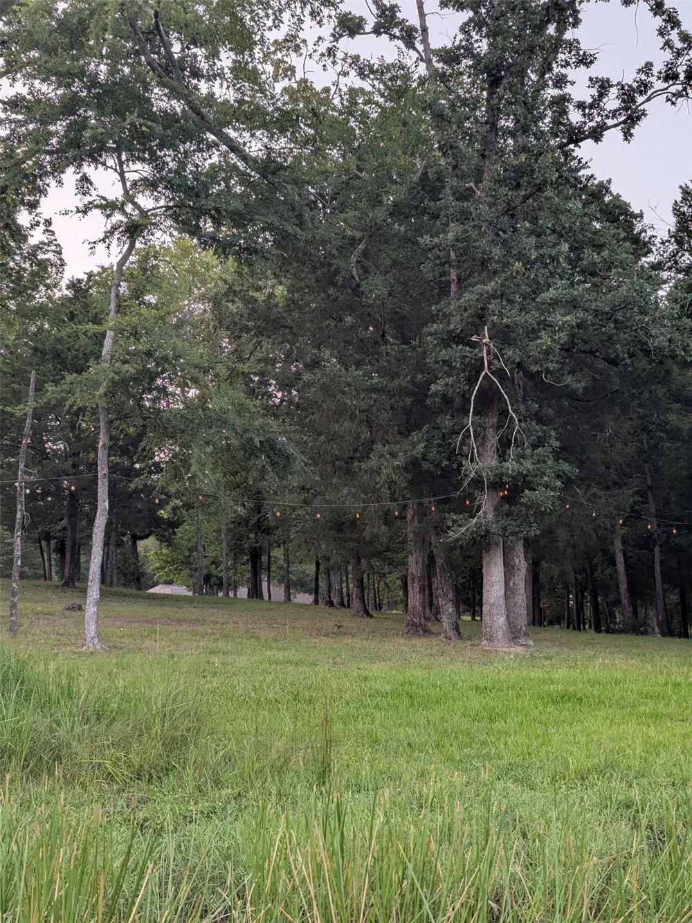 Striper Cove Larue, TX 75770