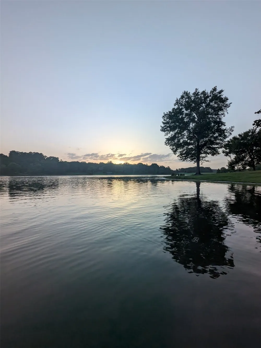 Striper Cove Larue, TX 75770