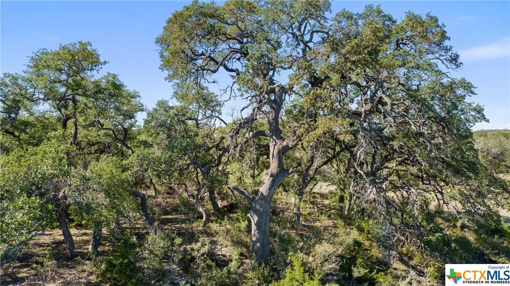 5400 FM 2325 Wimberley, TX 78676