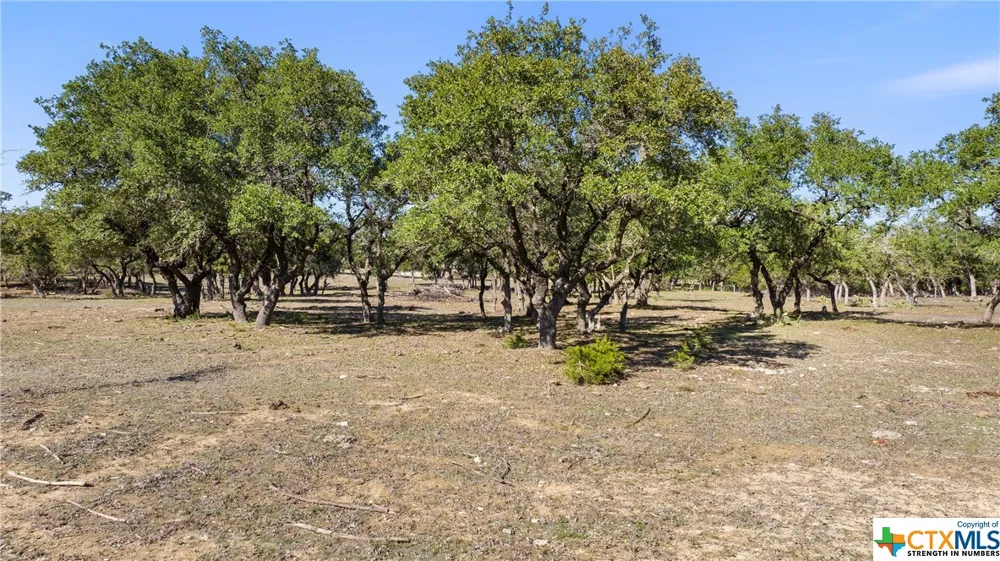 5400 FM 2325 Wimberley, TX 78676