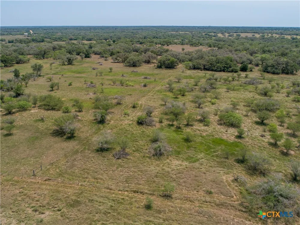 Green-Dewitt Road Cuero, TX 77954