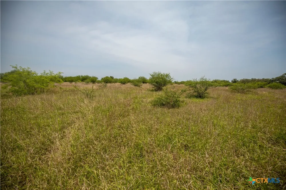 Green-Dewitt Road Cuero, TX 77954