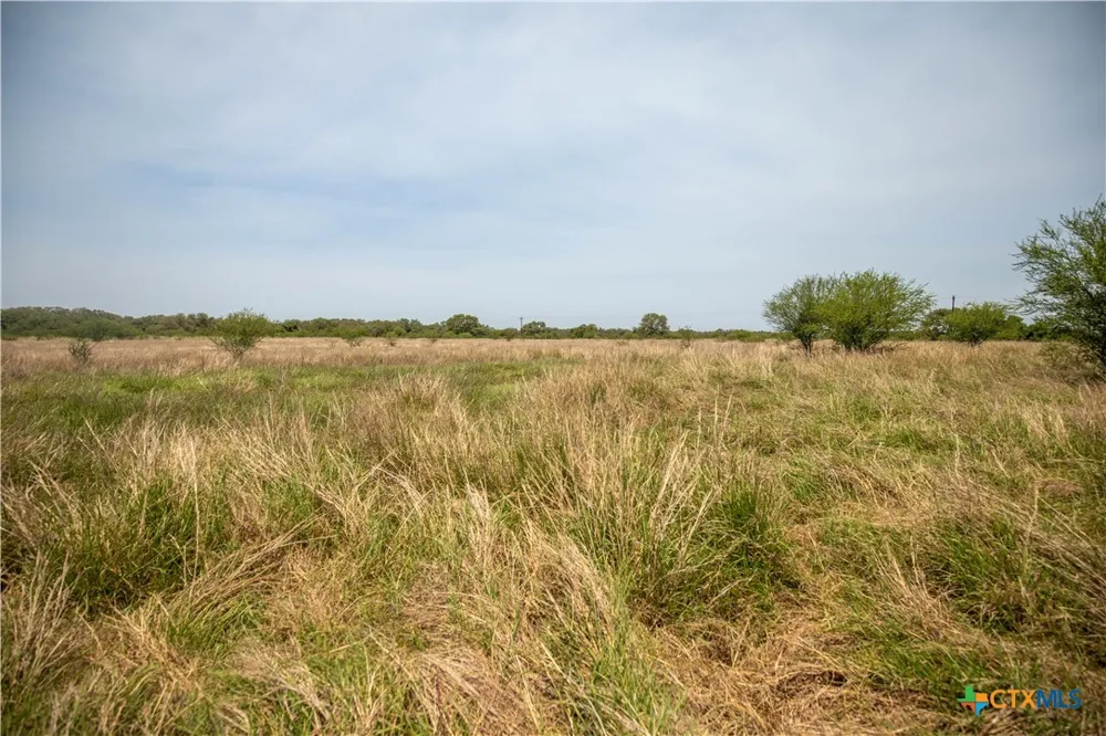 Green-Dewitt Road Cuero, TX 77954