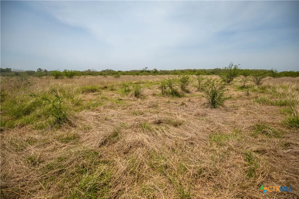 Green-Dewitt Road Cuero, TX 77954