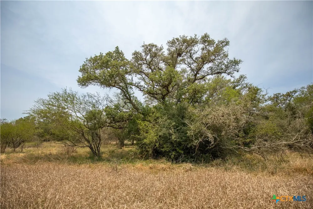Green-Dewitt Road Cuero, TX 77954