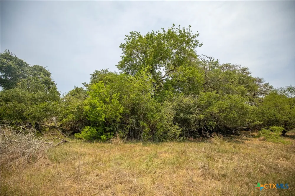 Green-Dewitt Road Cuero, TX 77954