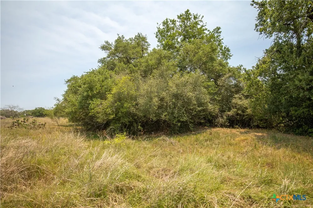 Green-Dewitt Road Cuero, TX 77954