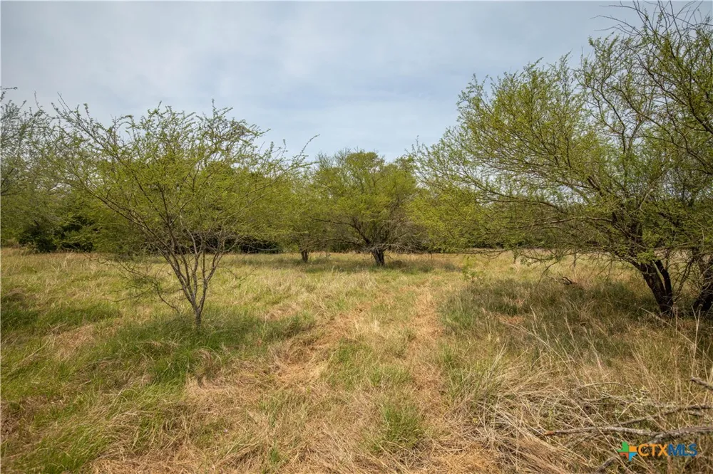 Green-Dewitt Road Cuero, TX 77954