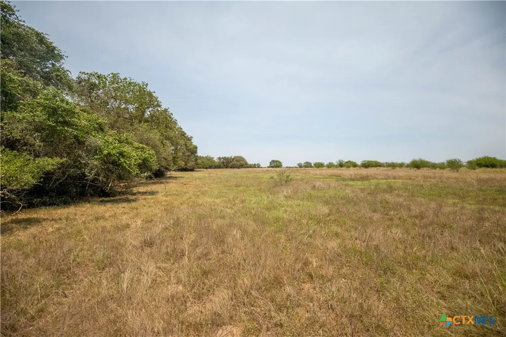 Green-Dewitt Road Cuero, TX 77954