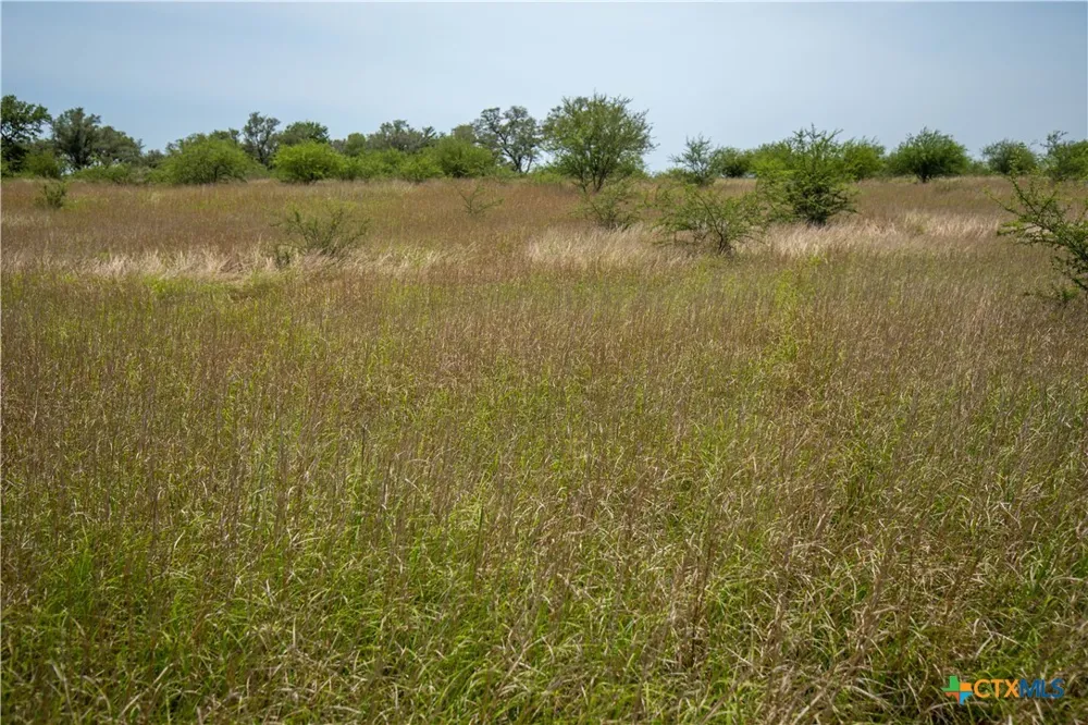 Green-Dewitt Road Cuero, TX 77954