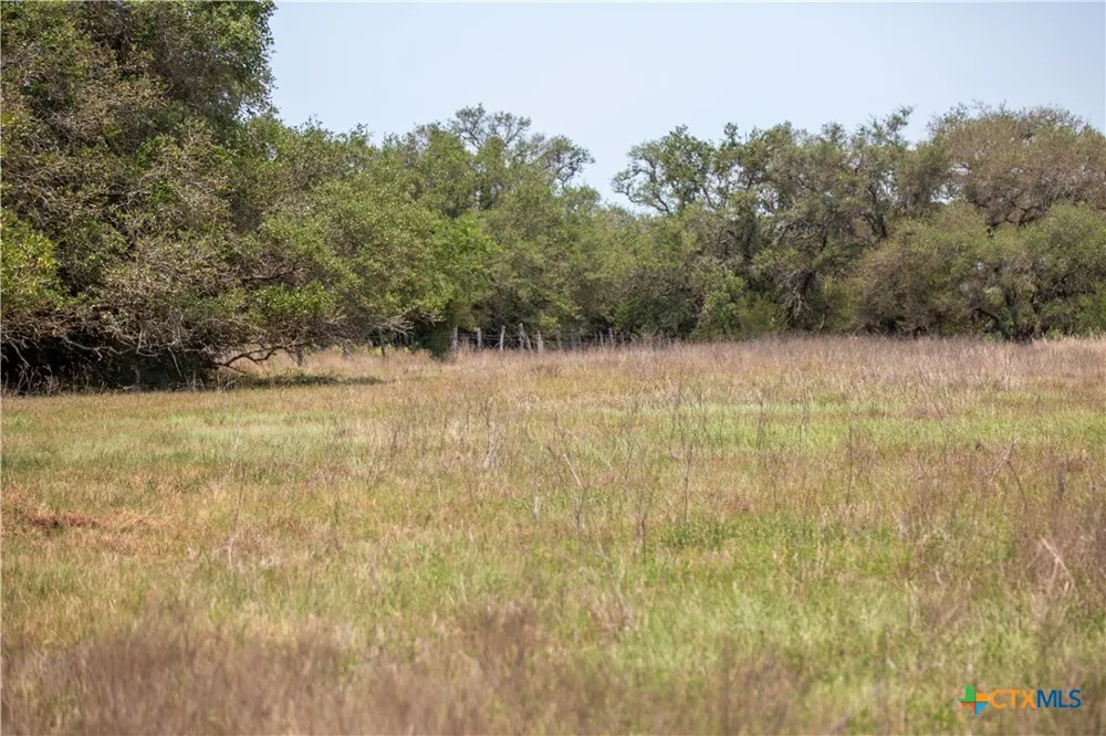 Green-Dewitt Road Cuero, TX 77954