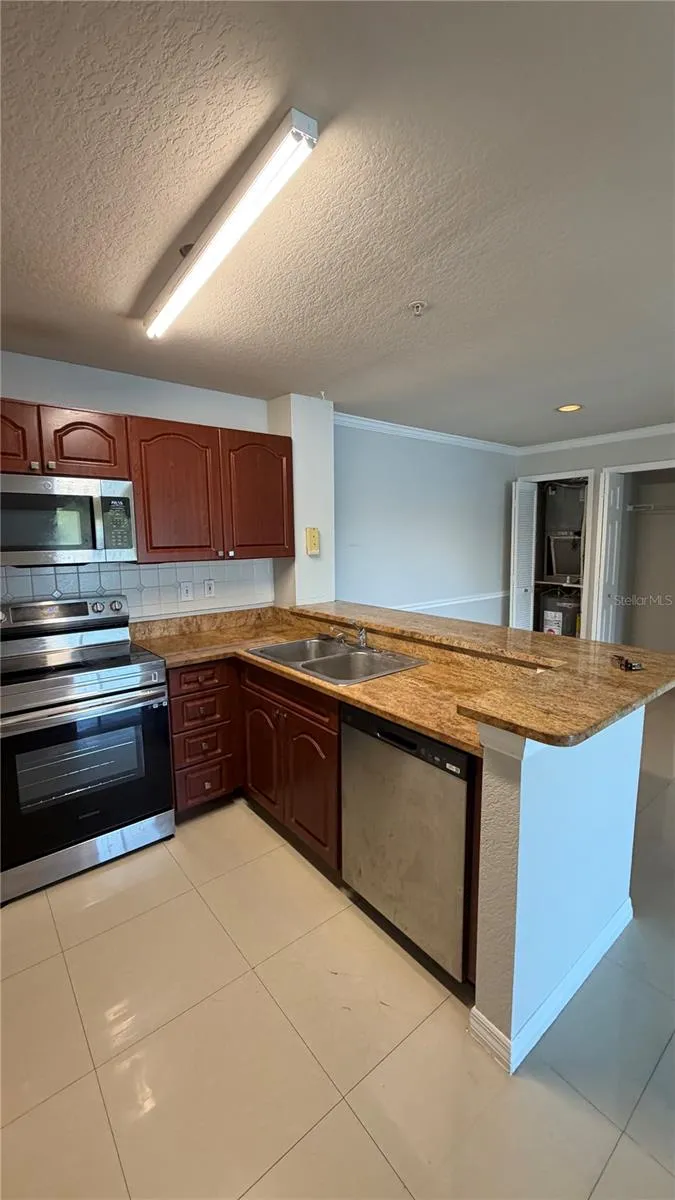 4209 WOODSTORKS WALK WAY #209 Lutz, FL 33558