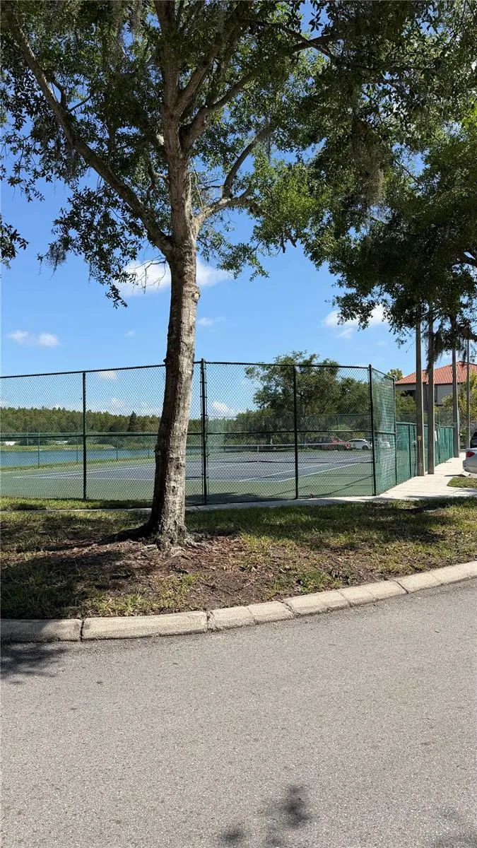 4209 WOODSTORKS WALK WAY #209 Lutz, FL 33558