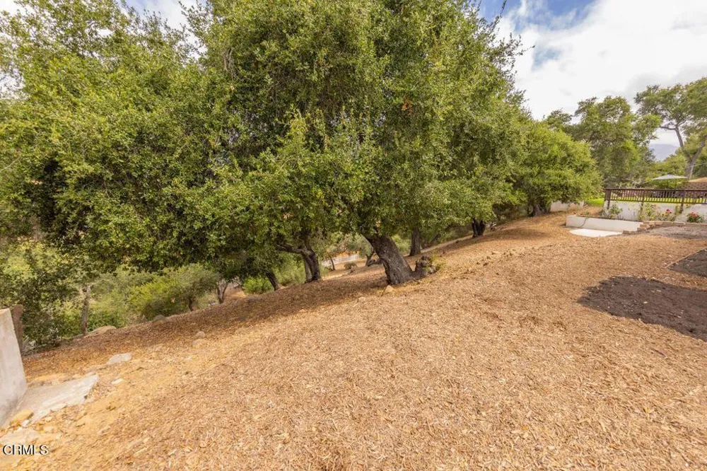 2999 Valley Meadow Drive Oak View, CA 93022