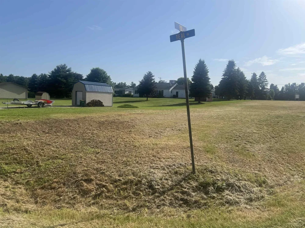 Teal Street Oscoda Charter Township, MI 48750