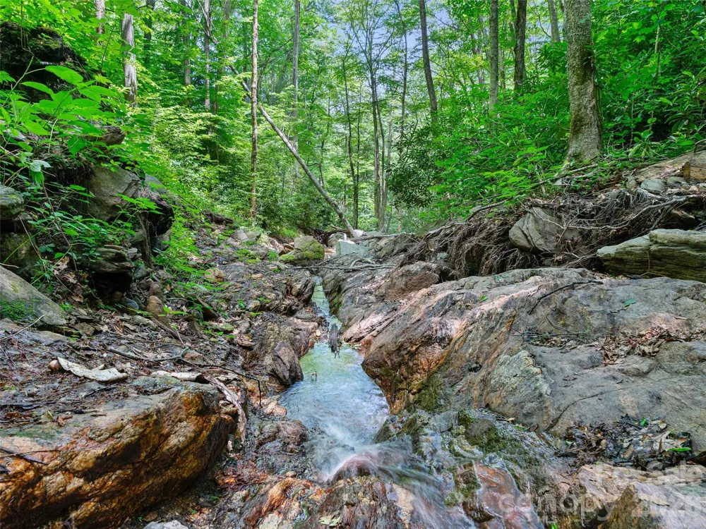 000 Ogles Gap Road Burnsville, NC 28714