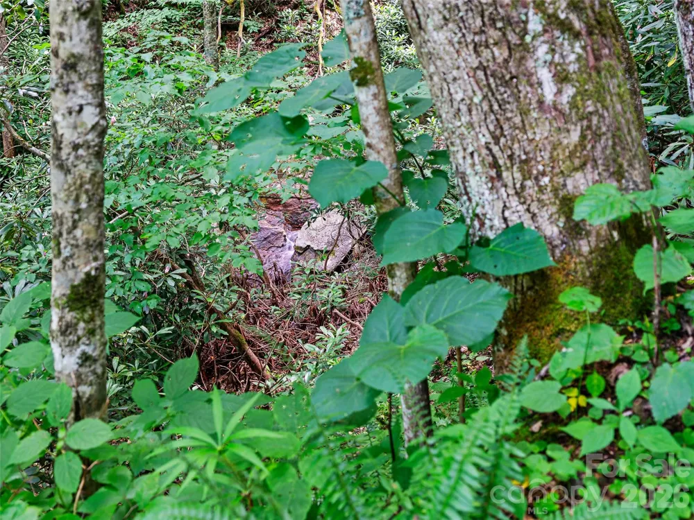 000 Ogles Gap Road Burnsville, NC 28714