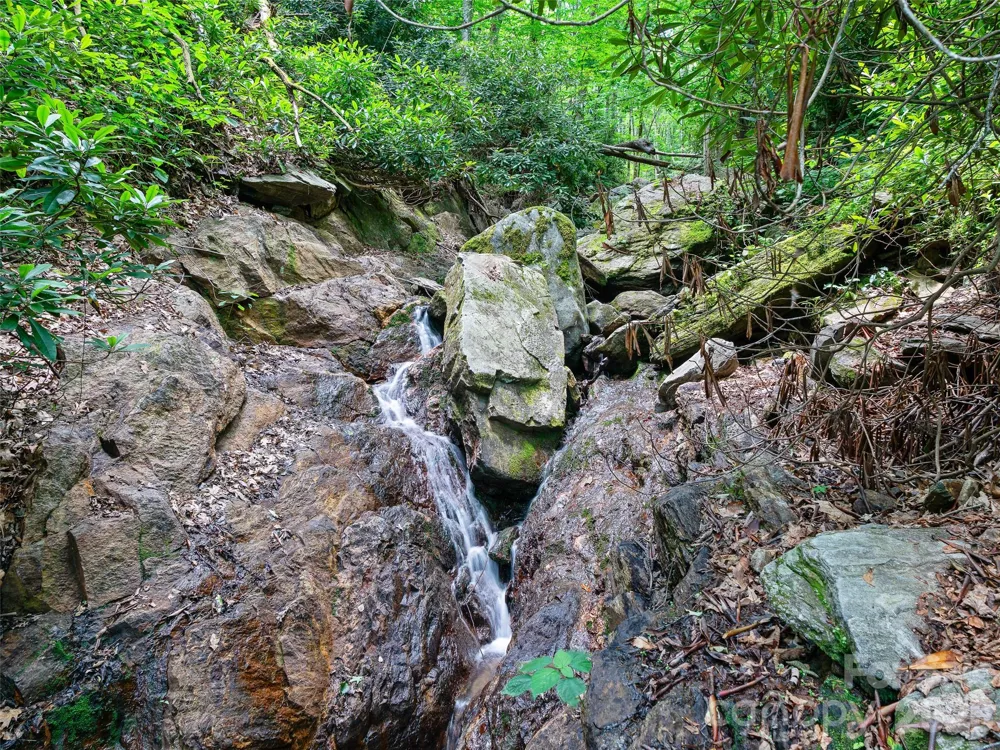 000 Ogles Gap Road Burnsville, NC 28714