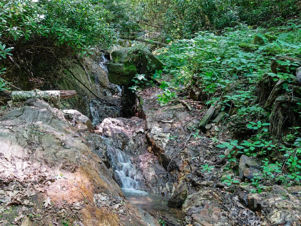 000 Ogles Gap Road Burnsville, NC 28714