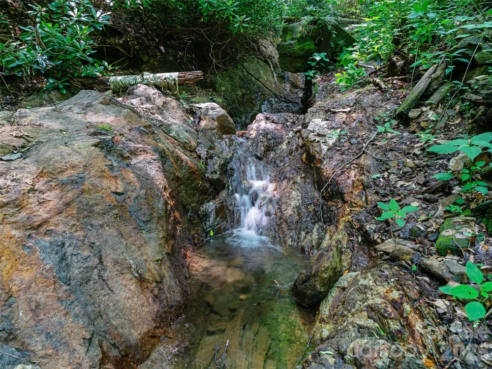 000 Ogles Gap Road Burnsville, NC 28714