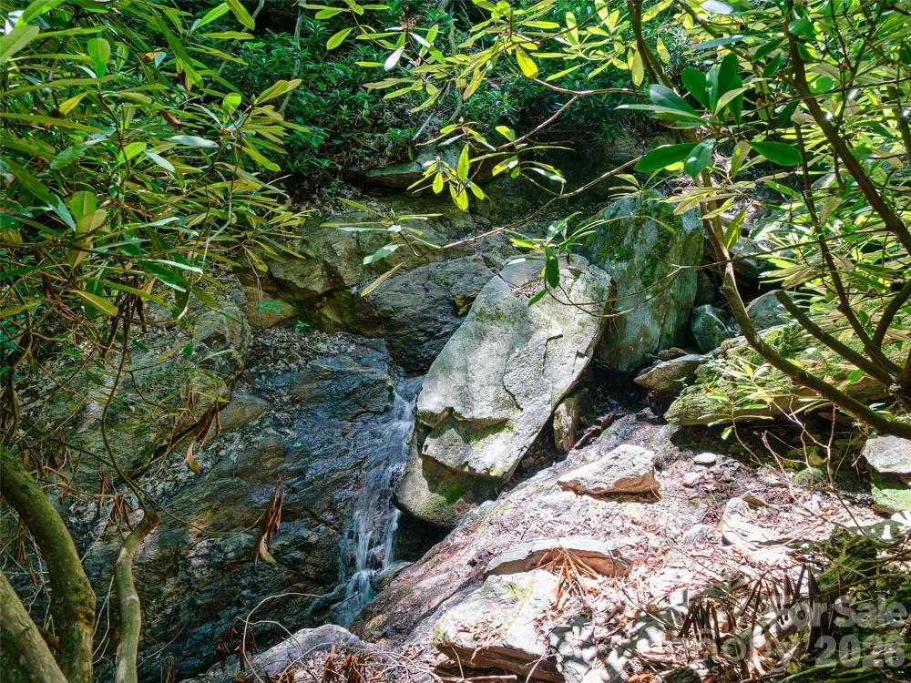 000 Ogles Gap Road Burnsville, NC 28714