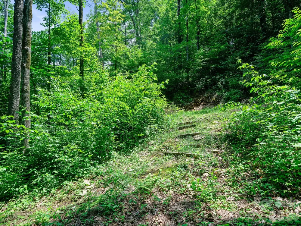 000 Ogles Gap Road Burnsville, NC 28714