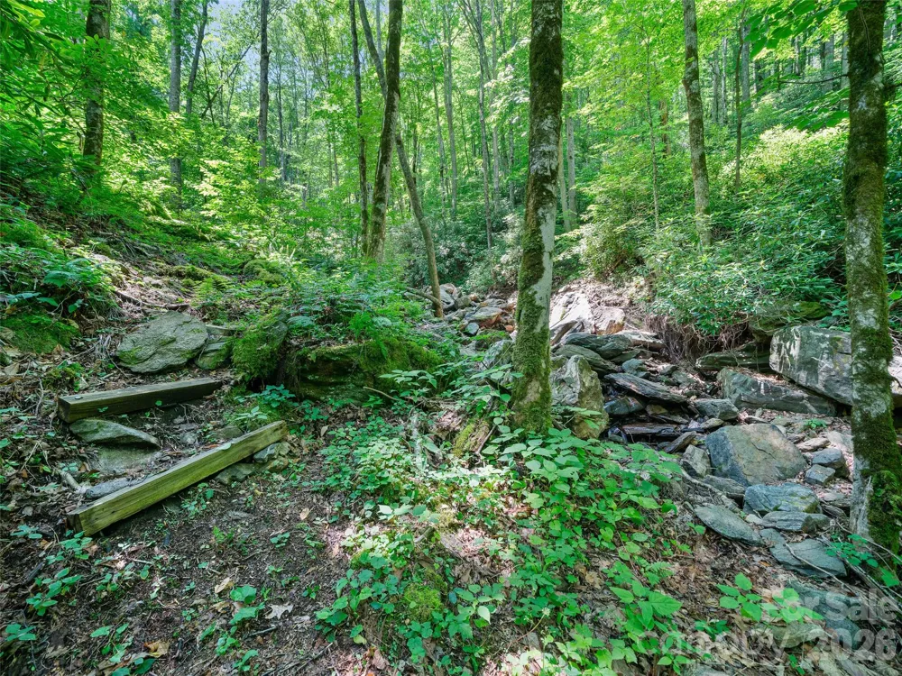 000 Ogles Gap Road Burnsville, NC 28714