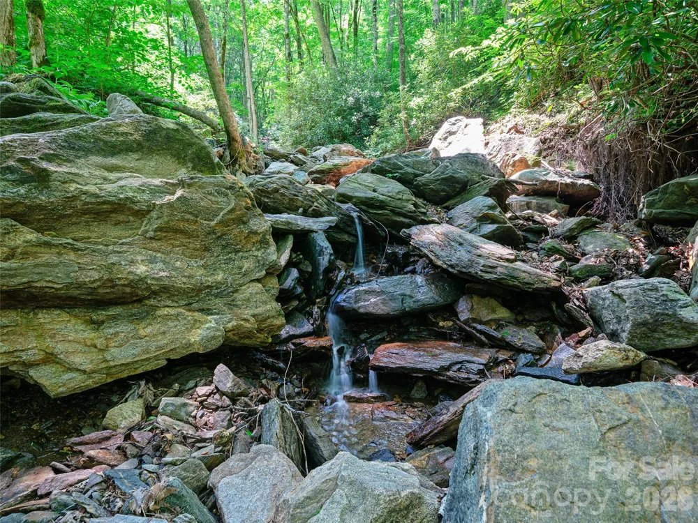 000 Ogles Gap Road Burnsville, NC 28714